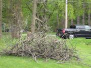 In search of branch and twig removal for sale in Utica NY