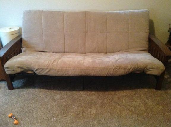 Sleeper sofa for sale in Newport TN