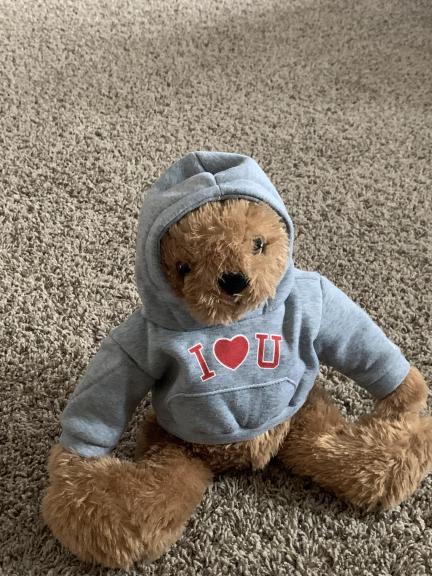 Teddy bear for sale in Oak Harbor OH