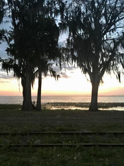 Garage sale in Indianapolis, Indiana of Garage Sale Showcase Member tsstrahl.