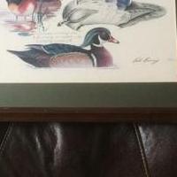 Ontario wood duck picture for sale in Cambria NY by Garage Sale Showcase member lj66, posted 12/13/2020