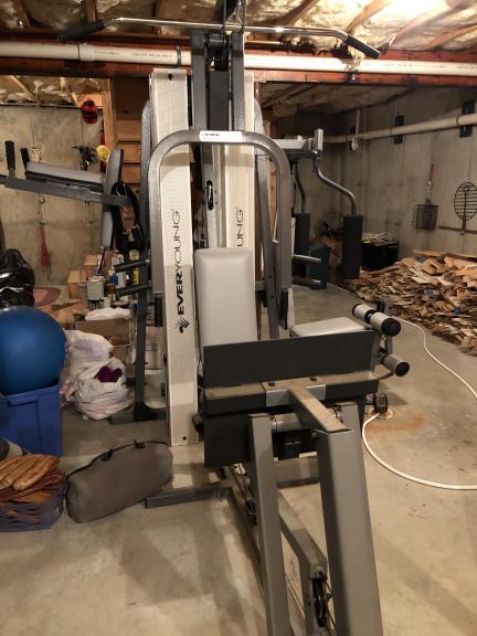 EVERYOUNG GYM