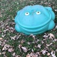 Little Tikes Frog Sandbox for sale in Dahlonega GA by Garage Sale Showcase member Fawn21, posted 11/28/2020