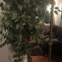 Tree (fake) for sale in Valparaiso IN by Garage Sale Showcase member JeHolder42, posted 07/30/2020