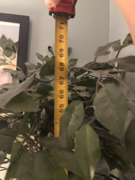 Tree (fake)