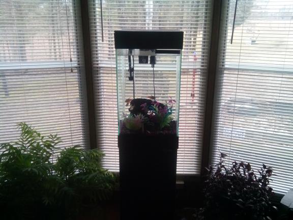 Aquarium for sale in Lebanon MO