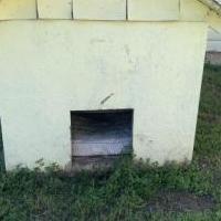 Doghouse for sale in Brownwood TX by Garage Sale Showcase member Bjlgrm, posted 05/20/2020