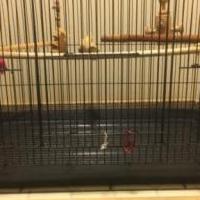 Parrot travel cage for sale in Tamaqua PA by Garage Sale Showcase member Forthebirds, posted 10/02/2020