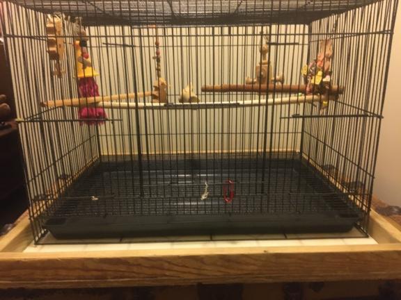Parrot travel cage for sale in Tamaqua PA