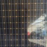 Sanyo 205 watt solar panels for sale in West Tawakoni TX by Garage Sale Showcase member Solar sales, posted 12/02/2021