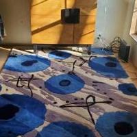 Area rug for sale in Elgin IL by Garage Sale Showcase member design3313, posted 05/20/2021