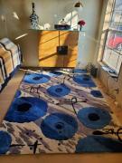 Area rug for sale in Elgin IL
