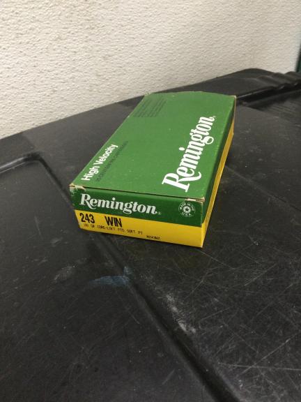 Remington .243 Win Ammo for sale in Holbrook NY