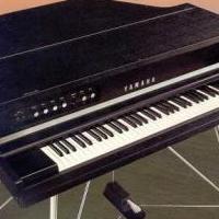 Yamaha Electric Grand Piano circa 1980 for sale in Naples FL by Garage Sale Showcase member Diankeri, posted 03/08/2021
