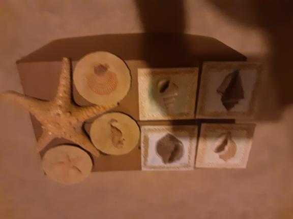 Wall Decor Resin: Star Fish, 3 Sand Dollars, 4 Shell Tiles. for sale in Mchenry IL