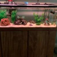 50 Gallon Saltwater Aquarium with Accessories for sale in Clarksville VA by Garage Sale Showcase member Scooby70, posted 09/20/2021