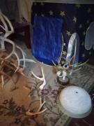 DEER ANTLERS STAND AN DECOR for sale in Indianapolis IN