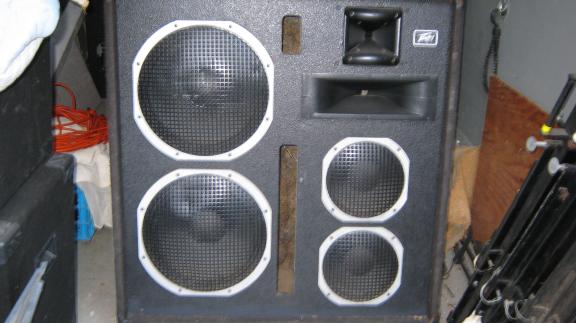 PEAVEY Speakers 2-3020's and 2- FH-1 Horns