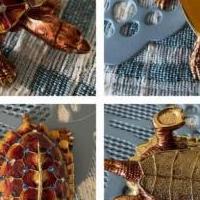 Turtle jeweled trinket box for sale in Montrose NY by Garage Sale Showcase member jortiz1974, posted 03/27/2022