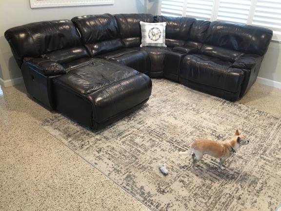 Leather Sectional for sale in Saint Petersburg FL