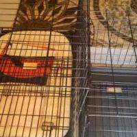 Dog Crates for sale in St.marys PA by Garage Sale Showcase member ChiefPatriot101, posted 08/21/2022