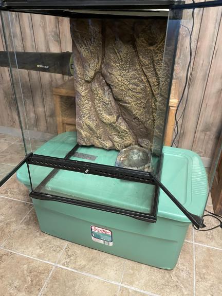 Lg glass enclosure (pet/reptile)
