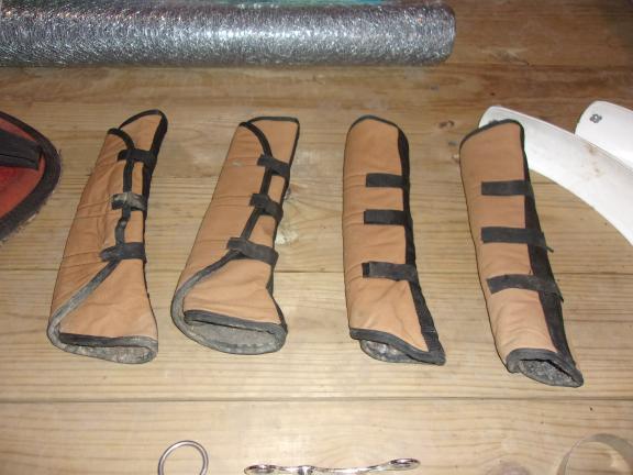 Horse Equipment