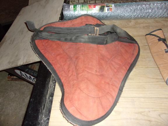 Horse Equipment