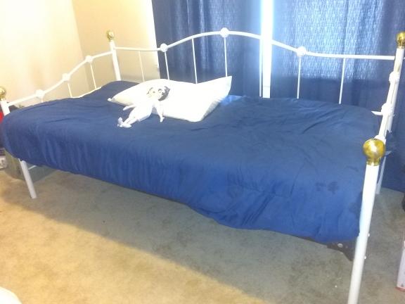 Garage sale in Bridgman, Michigan of Garage Sale Showcase Member Vernie.