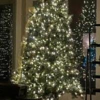 Martha Stewart 9' lit artificial Christmas tree for sale in Cheyenne WY by Garage Sale Showcase member linnew123, posted 02/09/2022
