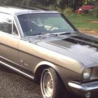 1965 Ford Mustang for sale in Henderson NC by Garage Sale Showcase member Bunnydoe19, posted 10/23/2022