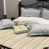 Split King Automatic Sleep Number Bed for sale in Pinehurst NC by Garage Sale Showcase member doglover4, posted 05/14/2022