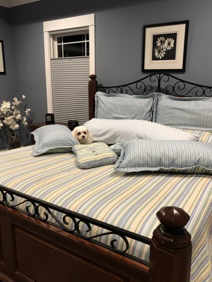 Split King Automatic Sleep Number Bed for sale in Pinehurst NC