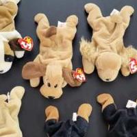 TY beanie baby dog lot of 6 for sale in Kerrville TX by Garage Sale Showcase member BPate5912, posted 03/05/2024