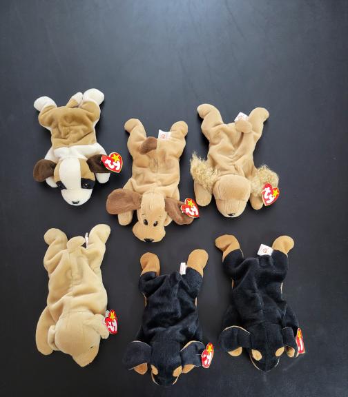 TY beanie baby dog lot of 6 for sale in Kerrville TX