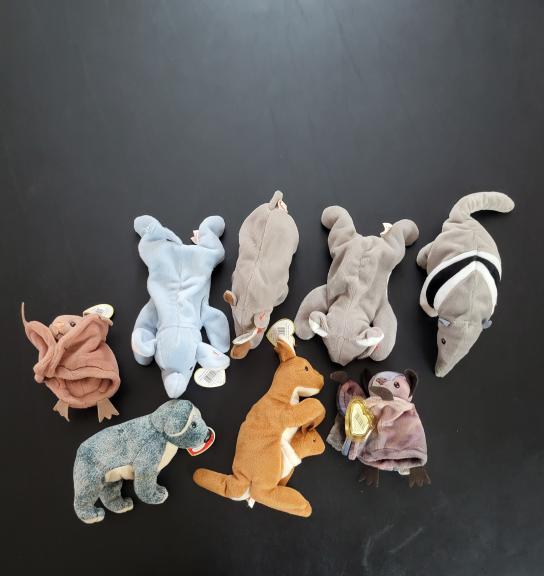 TY beanie baby safari animal lot of 8 for sale in Kerrville TX