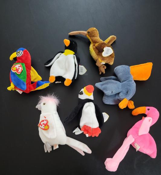 TY beanie baby bird lot of 7