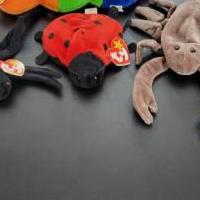 TY beanie baby bug lot of 5 for sale in Kerrville TX by Garage Sale Showcase member BPate5912, posted 03/05/2024