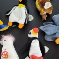 TY beanie baby bird lot of 7 for sale in Kerrville TX by Garage Sale Showcase member BPate5912, posted 03/05/2024