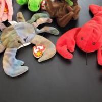 TY beanie baby sea creature lot of 5 for sale in Kerrville TX by Garage Sale Showcase member BPate5912, posted 03/05/2024