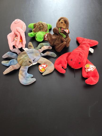 TY beanie baby sea creature lot of 5 for sale in Kerrville TX