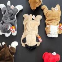 TY beanie baby dog lot of 6 for sale in Kerrville TX by Garage Sale Showcase member BPate5912, posted 03/05/2024