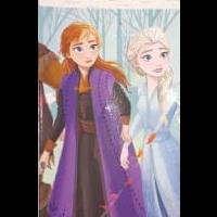 Nickelodeon and Disney Puzzles for sale in Decatur IN by Garage Sale Showcase member addickens84, posted 01/02/2026