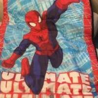 Spiderman and Plans FD sleeping bags for sale in Katy TX by Garage Sale Showcase member nina1103, posted 10/27/2023