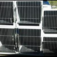 Kennel Cages for Grooming for sale in Washington County NY by Garage Sale Showcase Member Doggroomer1