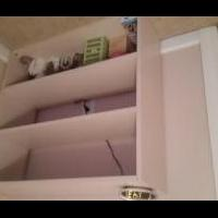 Wall shelves for sale in Hertford County NC by Garage Sale Showcase Member Hello2016
