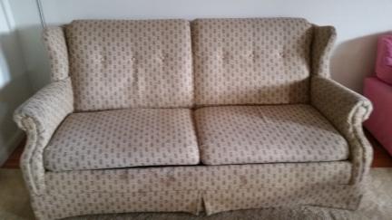 Sofa with pullout bed for sale in Steuben County NY