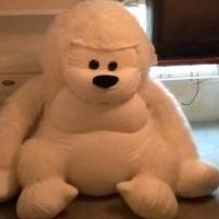 Stuffed Animal: Gorilla for sale in Tiffin OH by Garage Sale Showcase Member Garage Sale George
