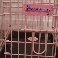 Cage crate for dog or cat for sale in Cumberland MD by Garage Sale Showcase member VTamosaitis, posted 01/21/2019