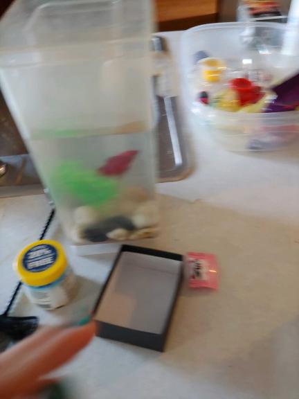 Fish tank for sale in Fort Knox KY